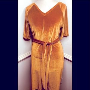 Vintage Velvet Dress w/ Belt 🧡